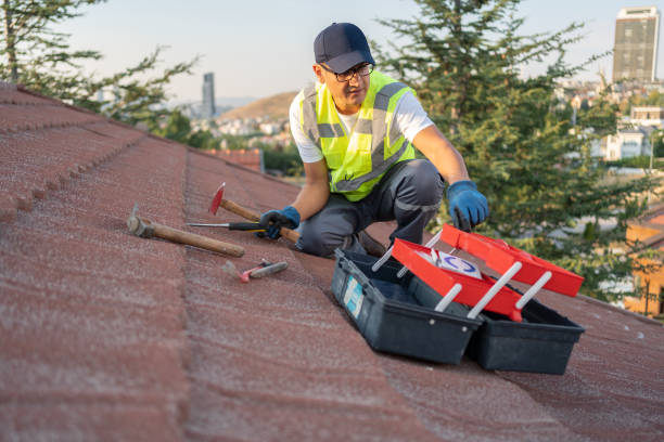 Best Stucco Siding  in Hebbronville, TX